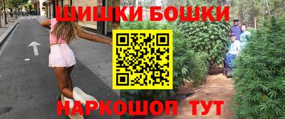 стаф Дубна