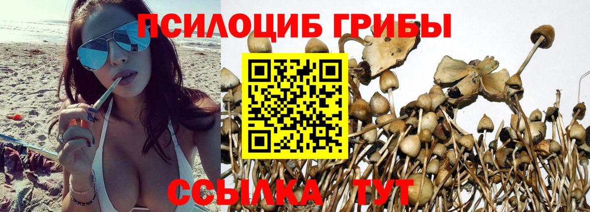 Псилоцибиновые грибы мухоморы Курчалой