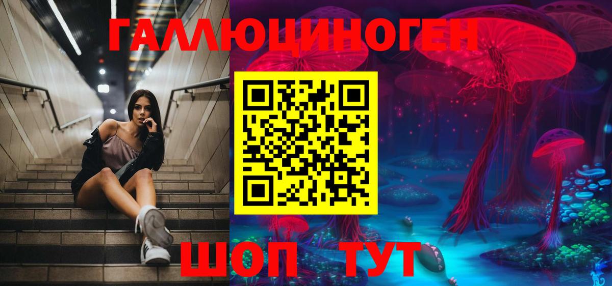 Курчалой  Галлюциногенные грибы ЛСД  Вход с VPN 
