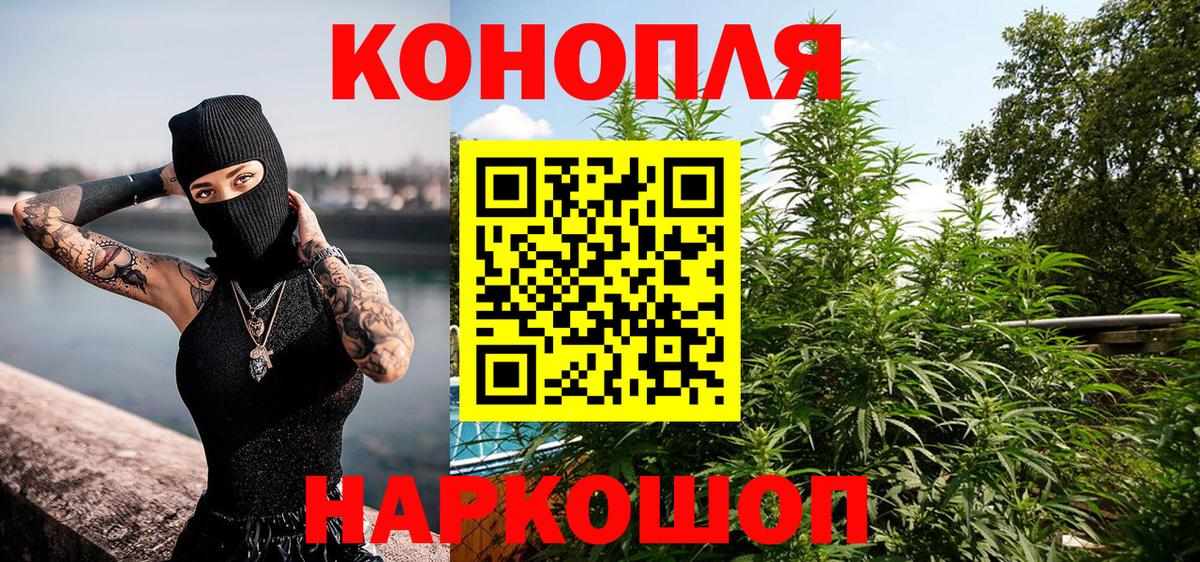 Курчалой  Канабис семена  Вход с VPN  Бошки Шишки индика  Шишки марихуана SATIVA & INDICA 
